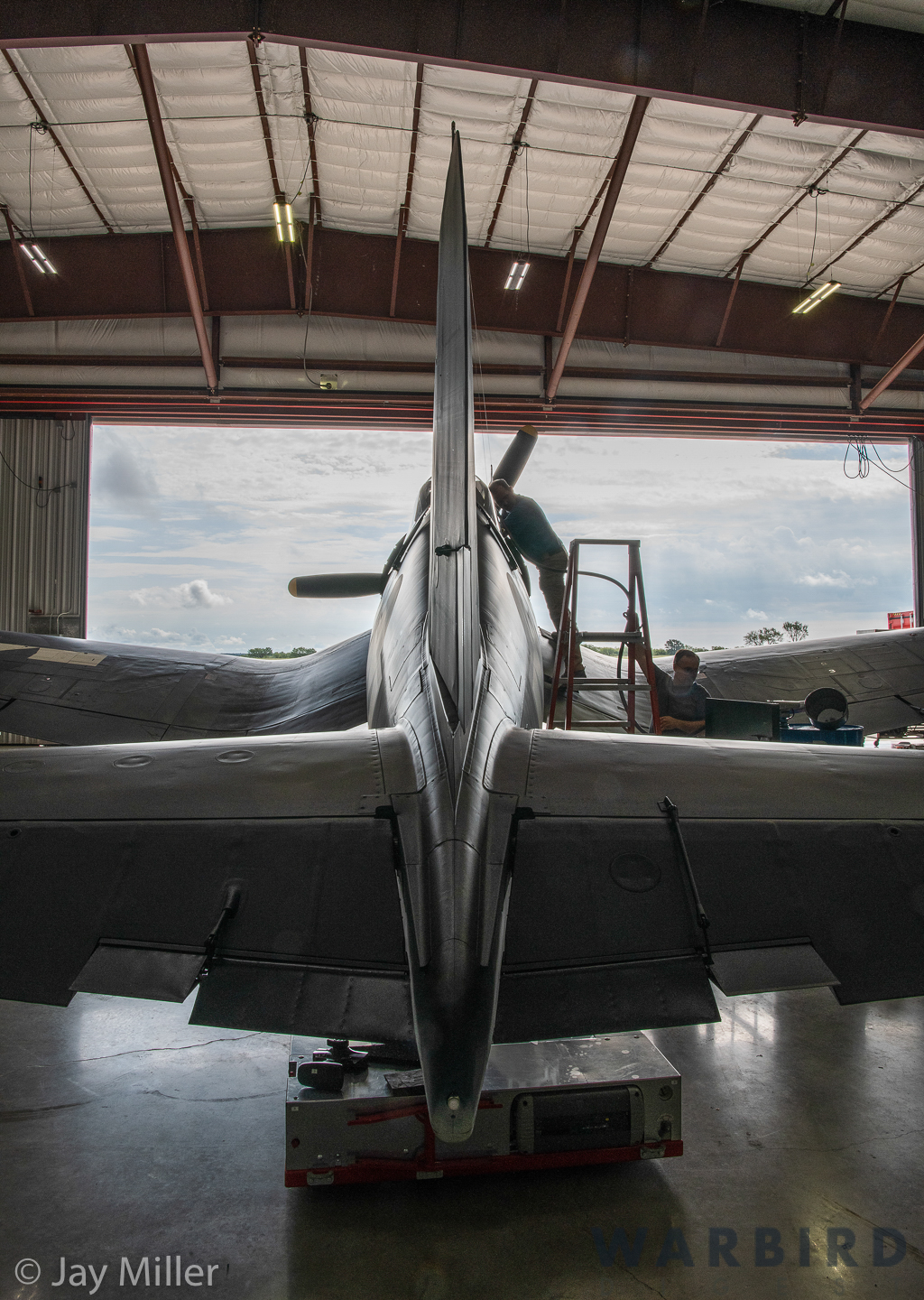 Brewster F3A-1A Corsair Arrives at National Museum of WWII Aviation 15 F3A 2