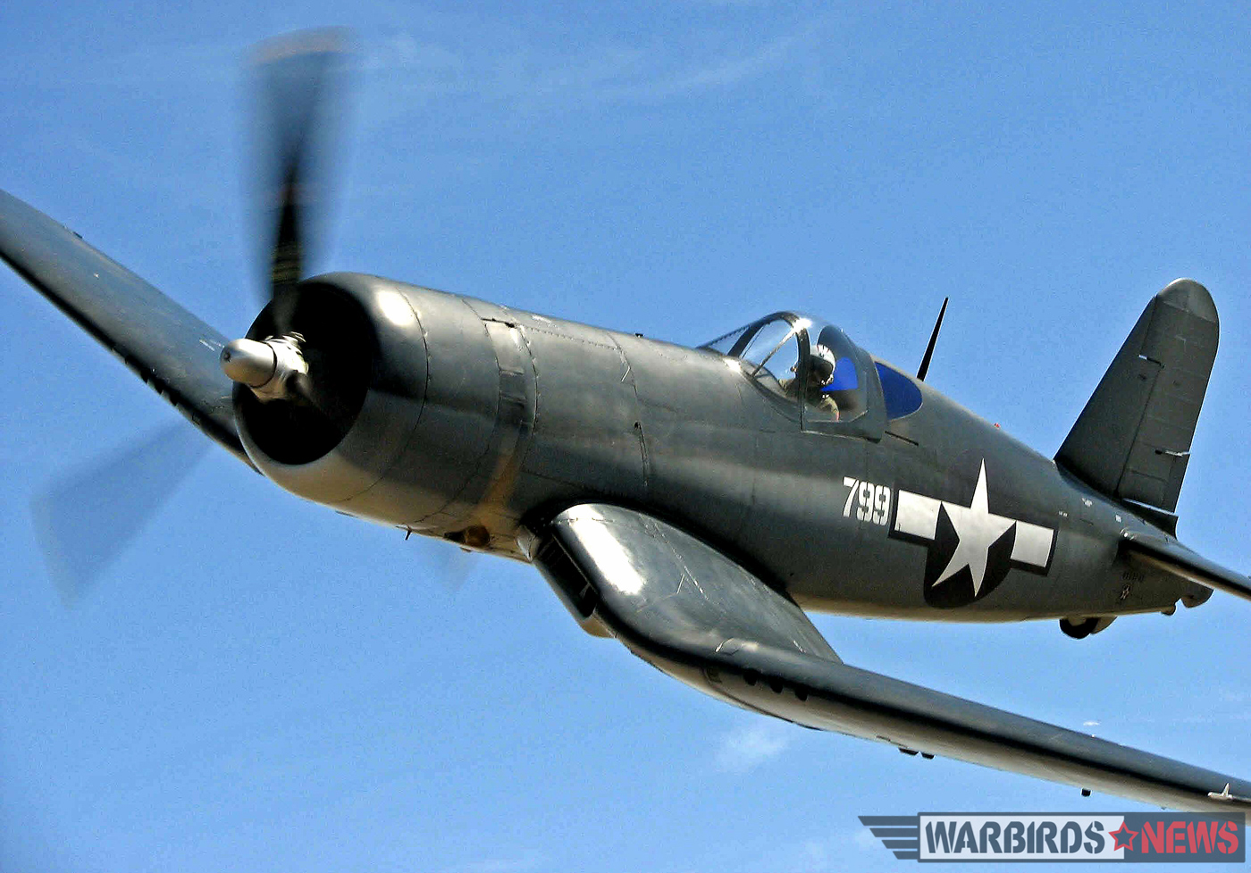 POOR LITTLE LAMBS - The Corsairs of Baa Baa Blacksheep 33 F4U-1A Bu.17799. ( photo by Frank Mormillo)