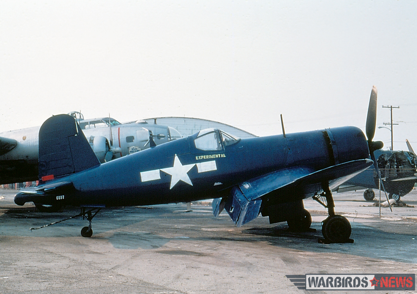 POOR LITTLE LAMBS - The Corsairs of Baa Baa Blacksheep 39 Bu.92106 in her Baa Baa Black Sheep livery at David Tallichet's MARC compound in Chino, CA. (photo by Al Hansen via Jim Sullivan)