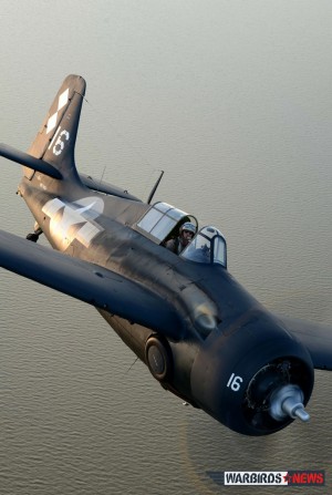 Wild Warbirds' Wonderful Winning Wildcat 10 Photo by Luigino Caliaro