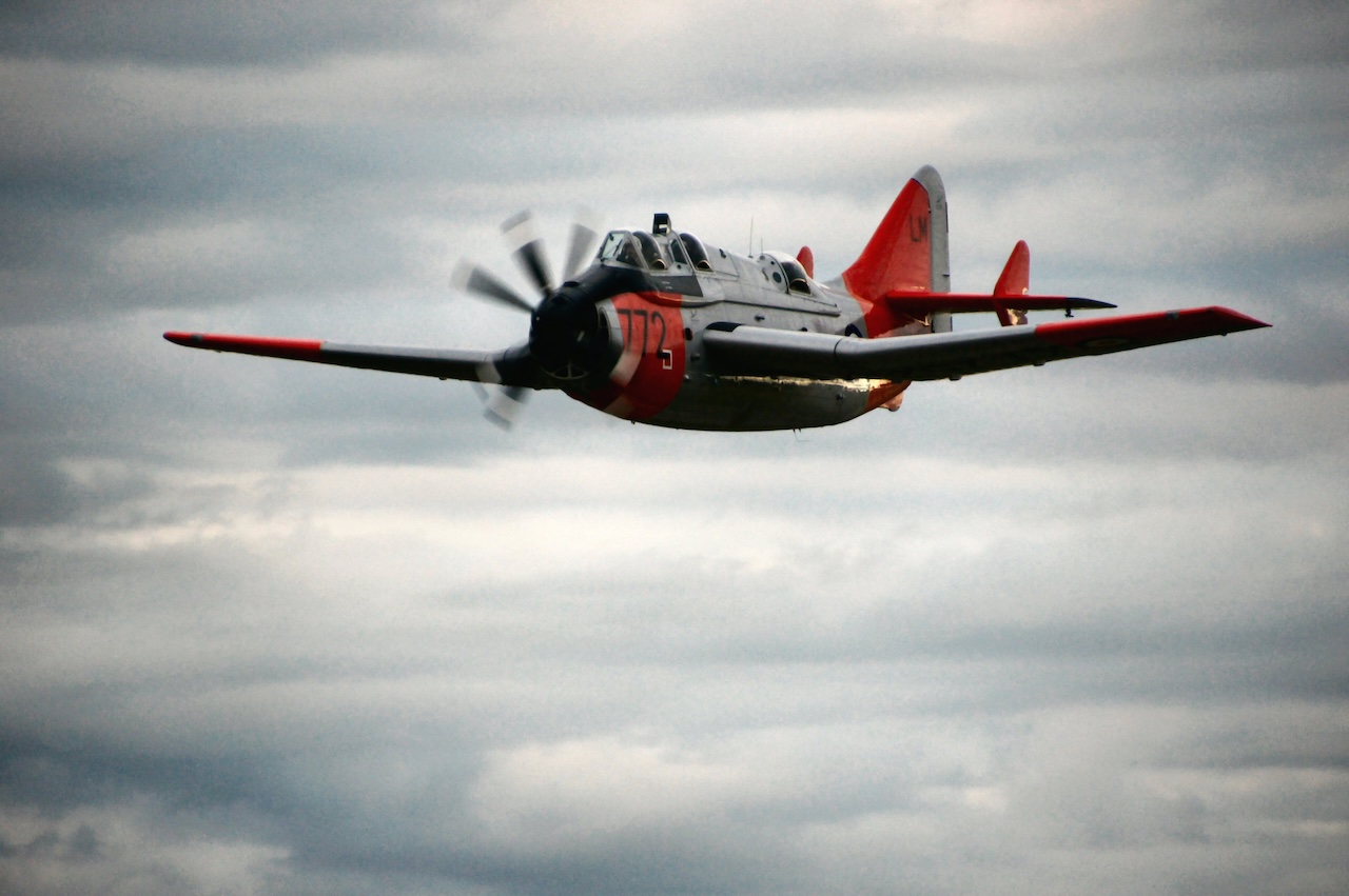 World’s Last Flying Fairey Gannet Offered for Sale 13 Fairey Gannet XT752 flyby