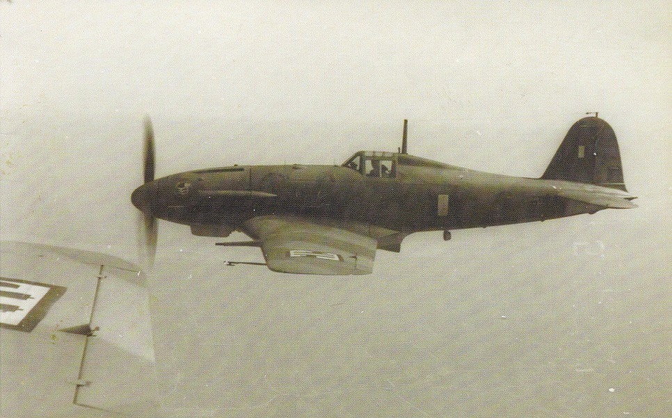Book Review: Cuore Patria Volo, The Definitive Book About Italy's Aeronautica Nazionale Republicana in WWII 11 Fiat G.55 2