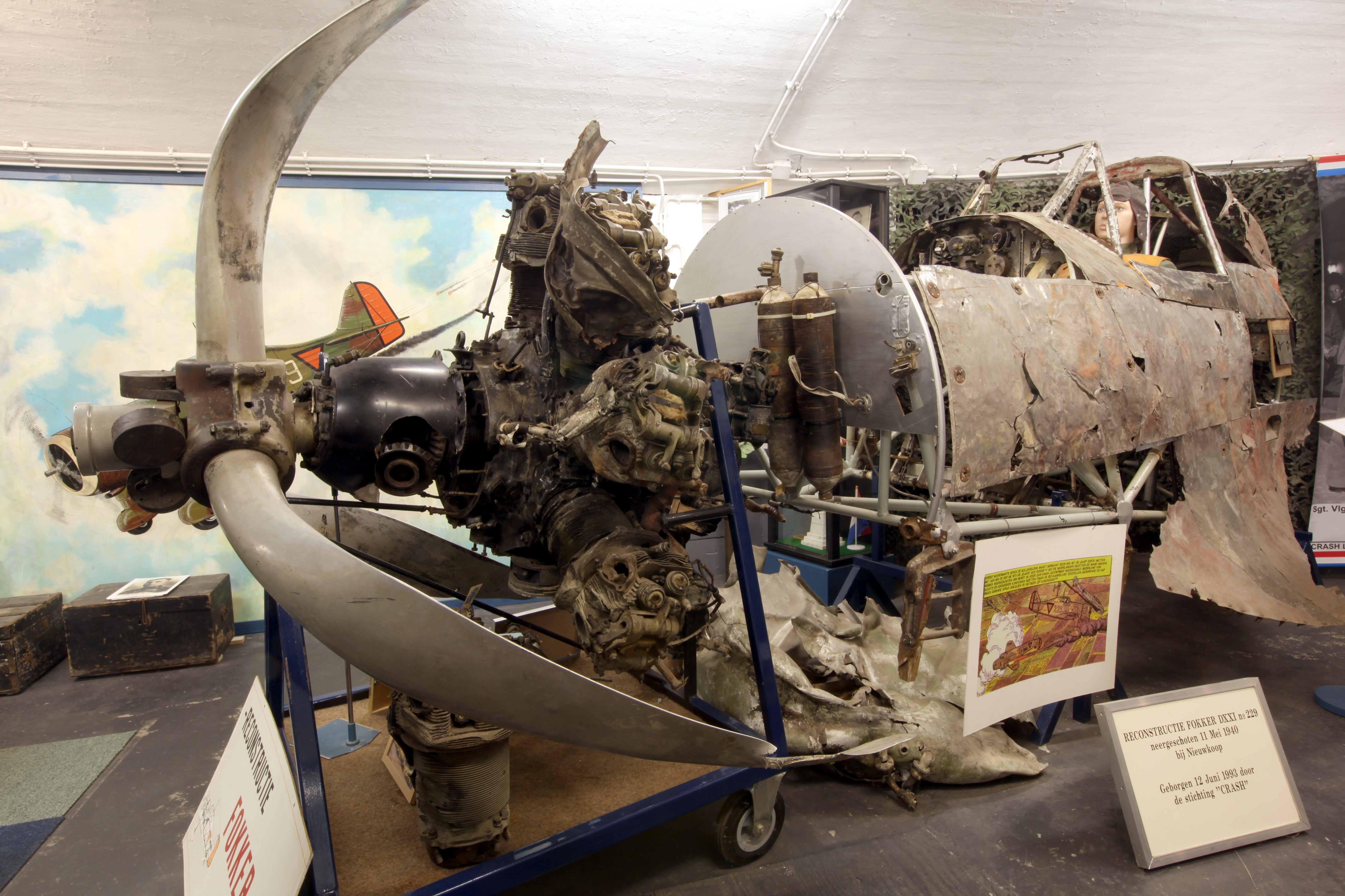 Dutch Fokker D.XXI - Resurrection Update - July, 2020 12 Fokker D XXI 229