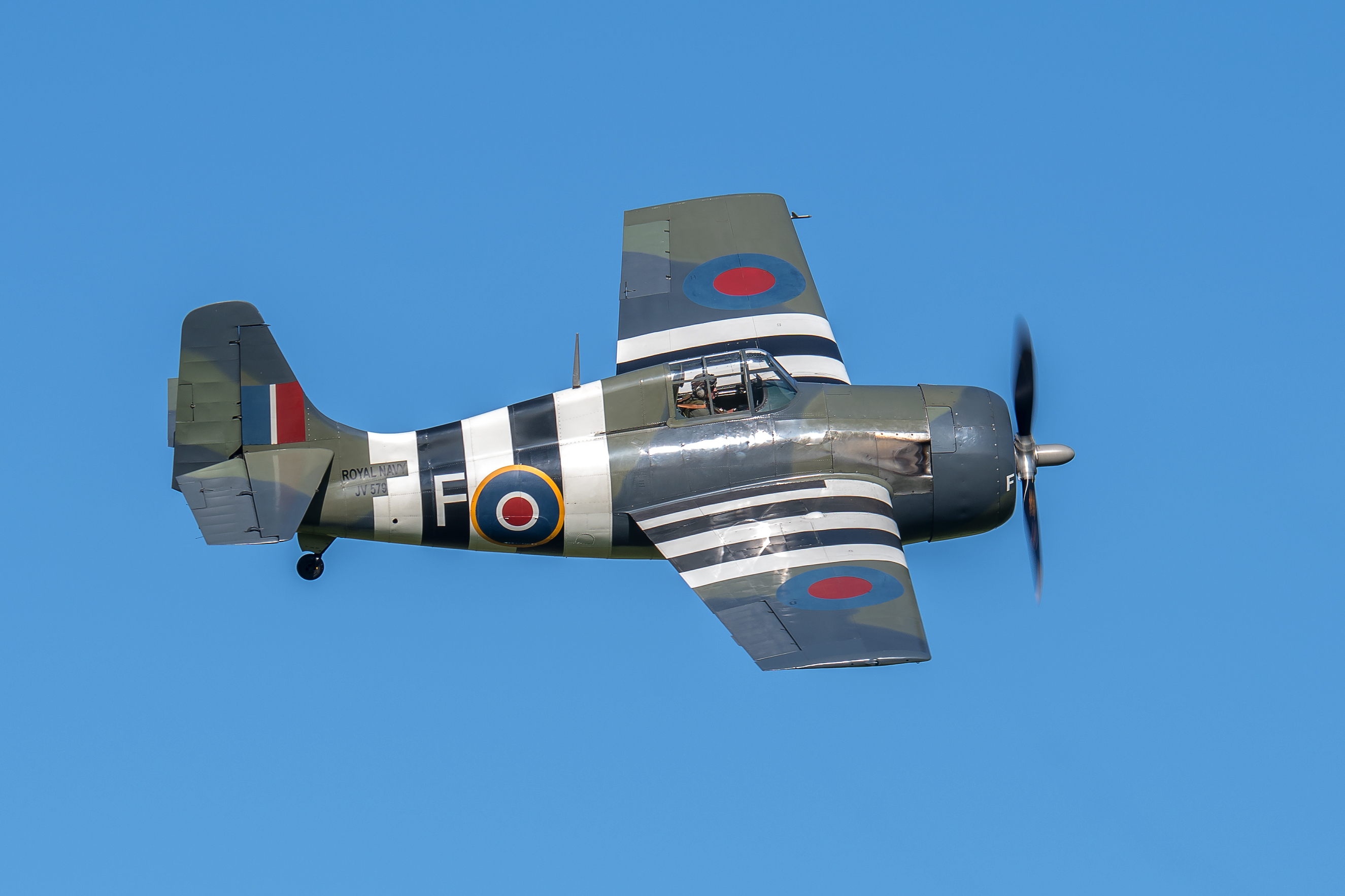 The Shuttleworth Collection's 'Fly Navy' Air Show 42 Grumman FM 2 Wildcat JV579 F The Old Thing D05 9549