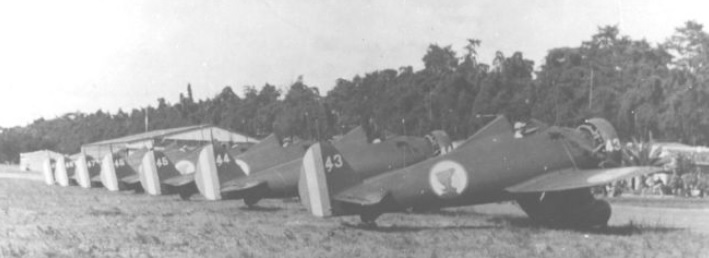 History of the Planes of Fame Air Museum’s P-26 Peashooter 14 Guatemalan Peashooters at La Aurora