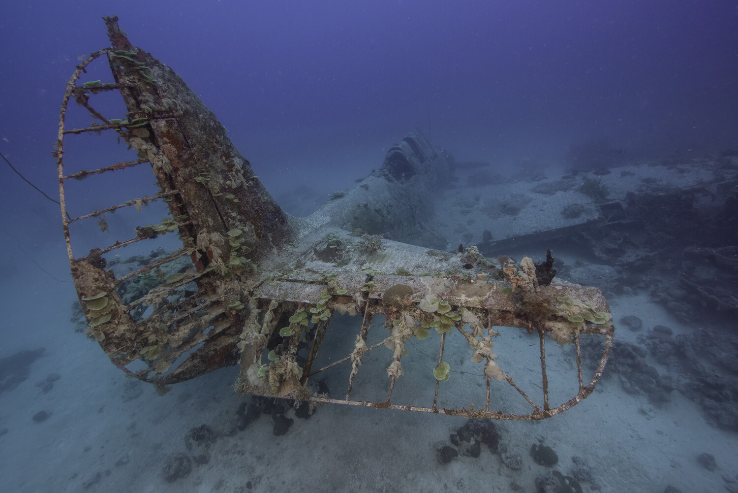 US Navy Announces Mission to Recover a Douglas TBD Devastator 13 HH03