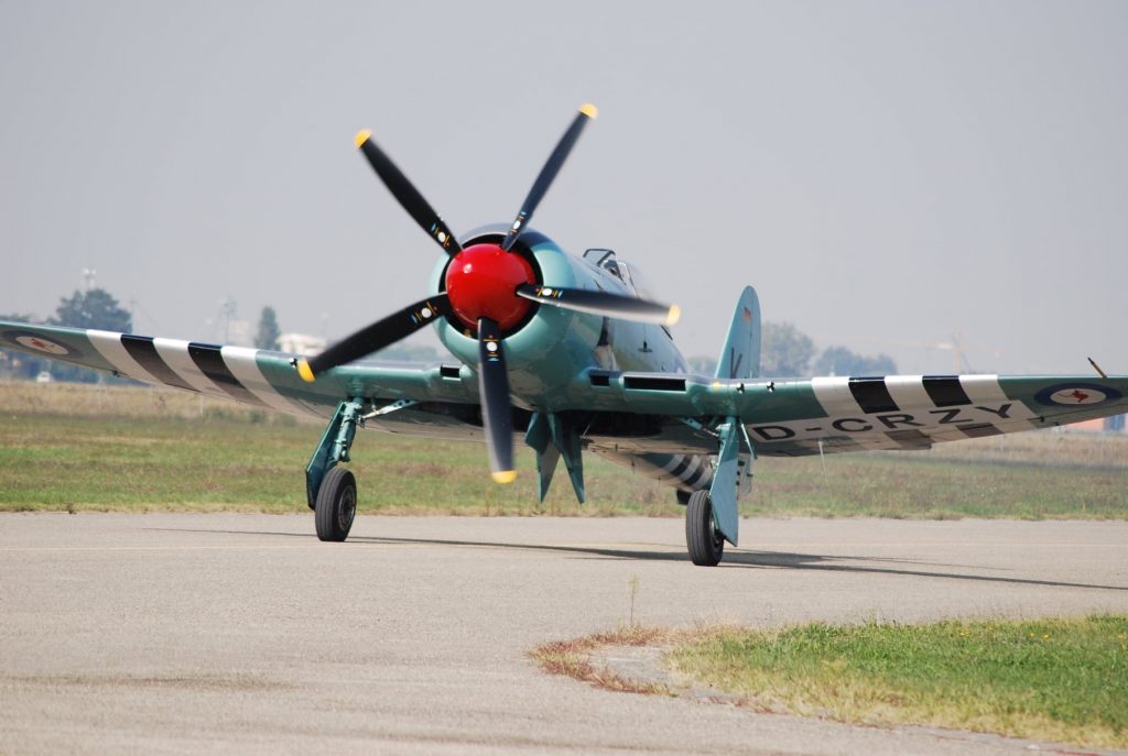 Sea Fury Moves to Italy 10 Hawker Sea Fury FB11 By Claudio Toselli