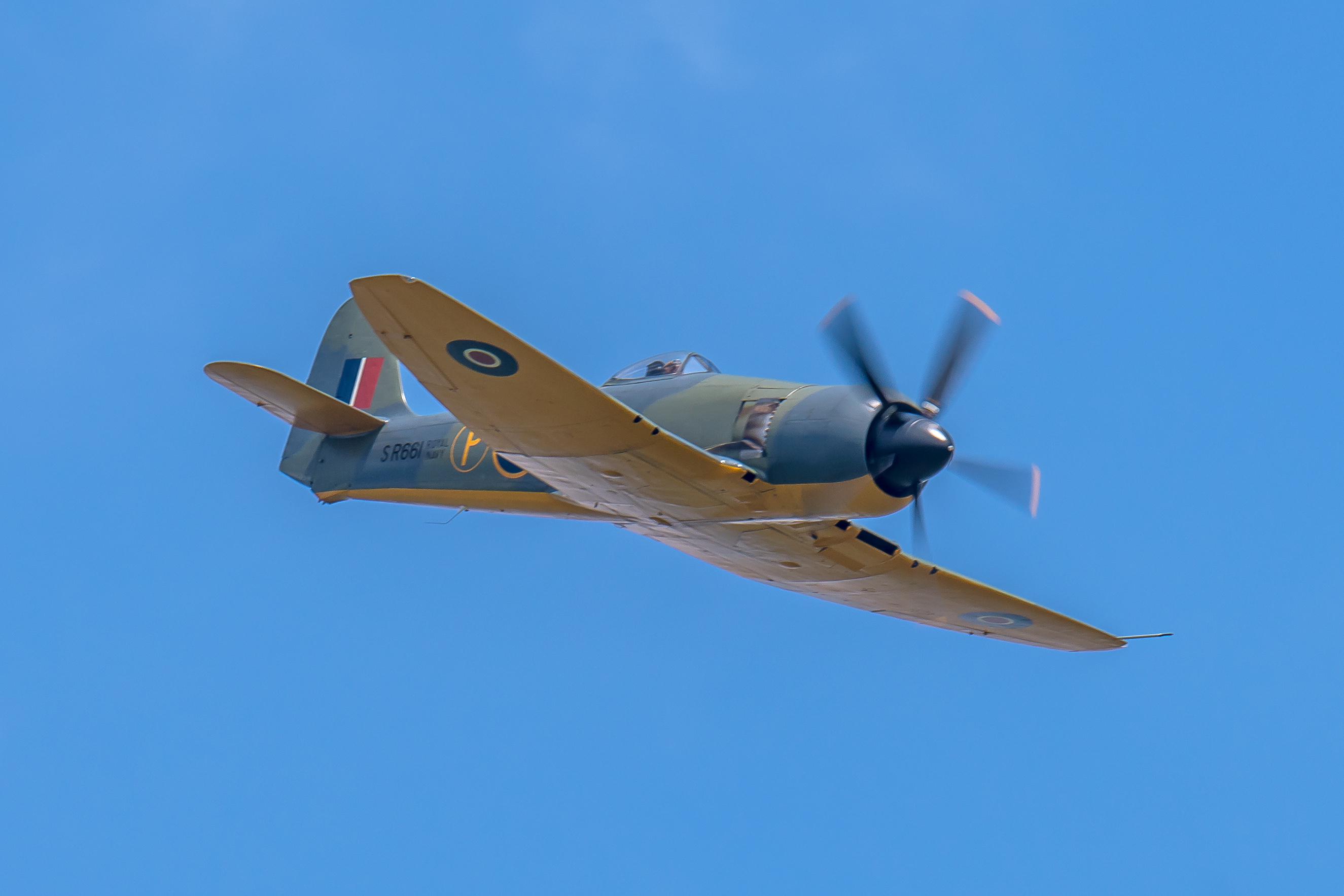 The Shuttleworth Collection's 'Fly Navy' Air Show 15 Hawker Sea Fury Mk.X SR661 P Prototype G CBEL D05 8334