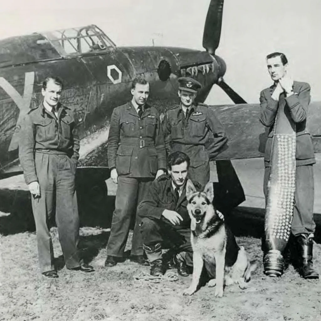 The Last Battle of Britain Pilot, John "Paddy" Hemingway, Passes Away at 105 12