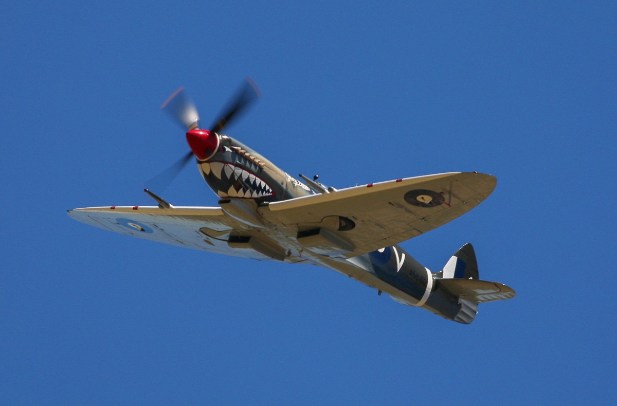 2015 Temora Aviation Museum - Warbirds Downunder Air Show Report 20 A nice closeup of the Spitfire Mk.VIII. (photo by Phil Buckley)