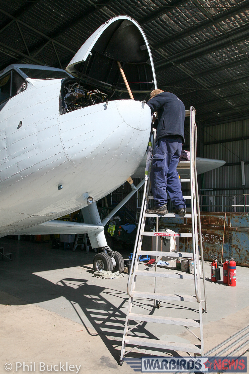 Twin Pioneer Restoration Update from Downunder 13 Working in the nose bay. (photo by Phil Buckley)