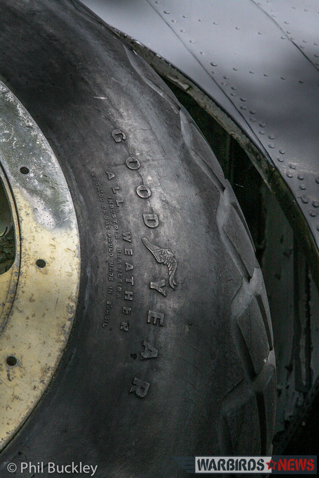 Downunder PBY - Restoration Report from Rathmines, Australia 19 A main wheel still nestled on the fuselage side. The main undercarriage will soon receive an overhaul, and be placed in the down position to allow the aircraft to stand on its own feet. (photo by Phil Buckley)