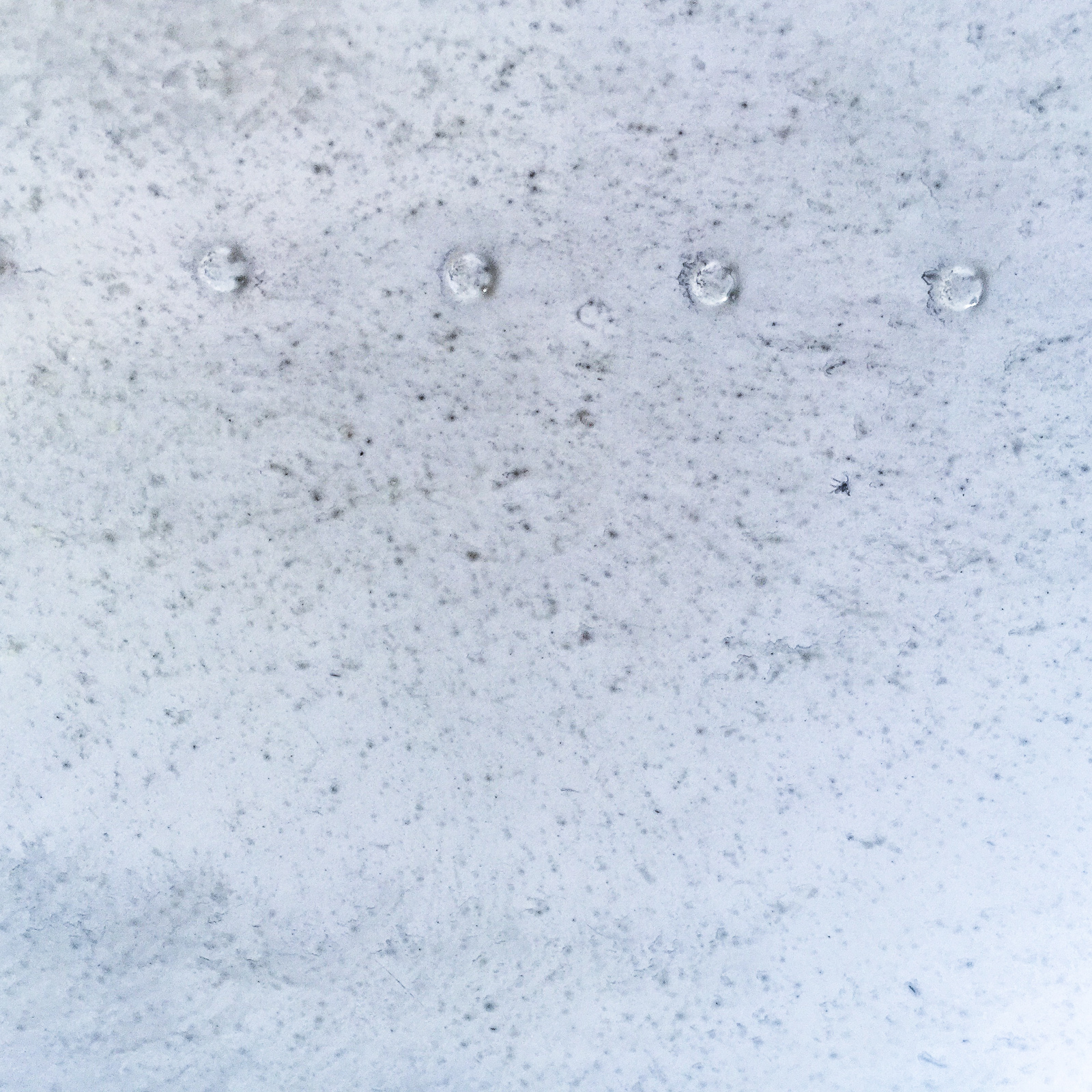 Plane Perfect! 11 Belly of a Cessna 195 before cleaning.