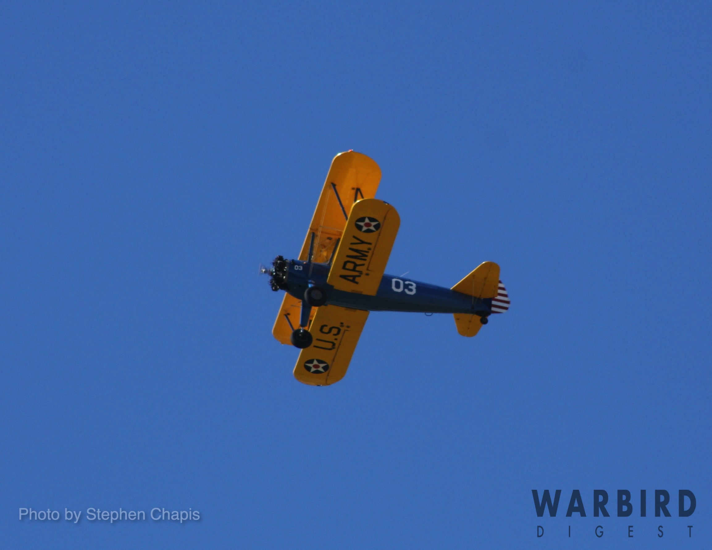 Your Stories: An Accidental Witness 12 IMG 2614 Cropped