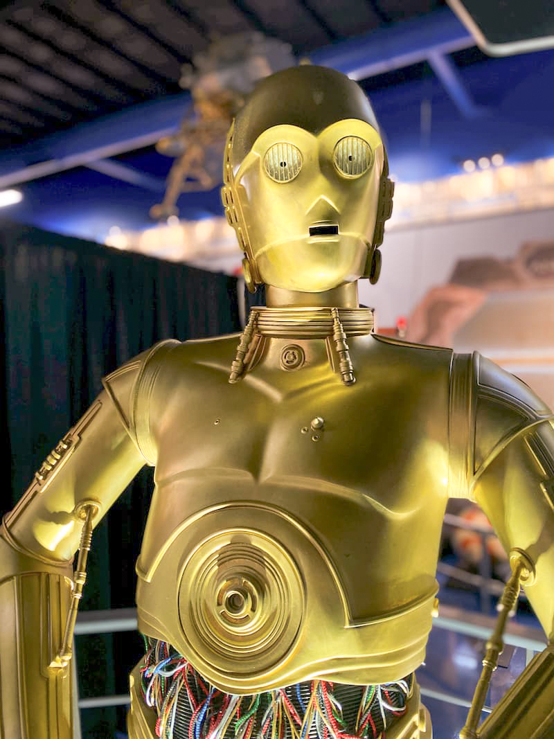 Kalamazoo Air Zoo - Phased Re-Opening 16 IMG 2650 1