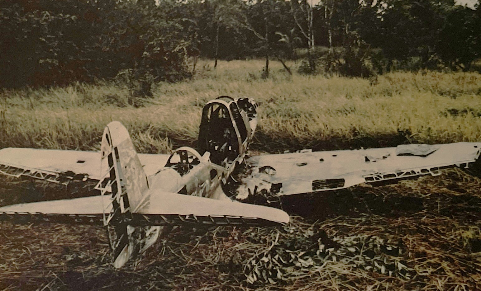Planes of Fame's Restoration of a Bell P-39 Airacobra 12 IMG 3526