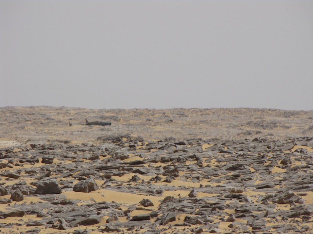 Desert War Kittyhawk Unveiled in Egypt 20 IMG 4522 1