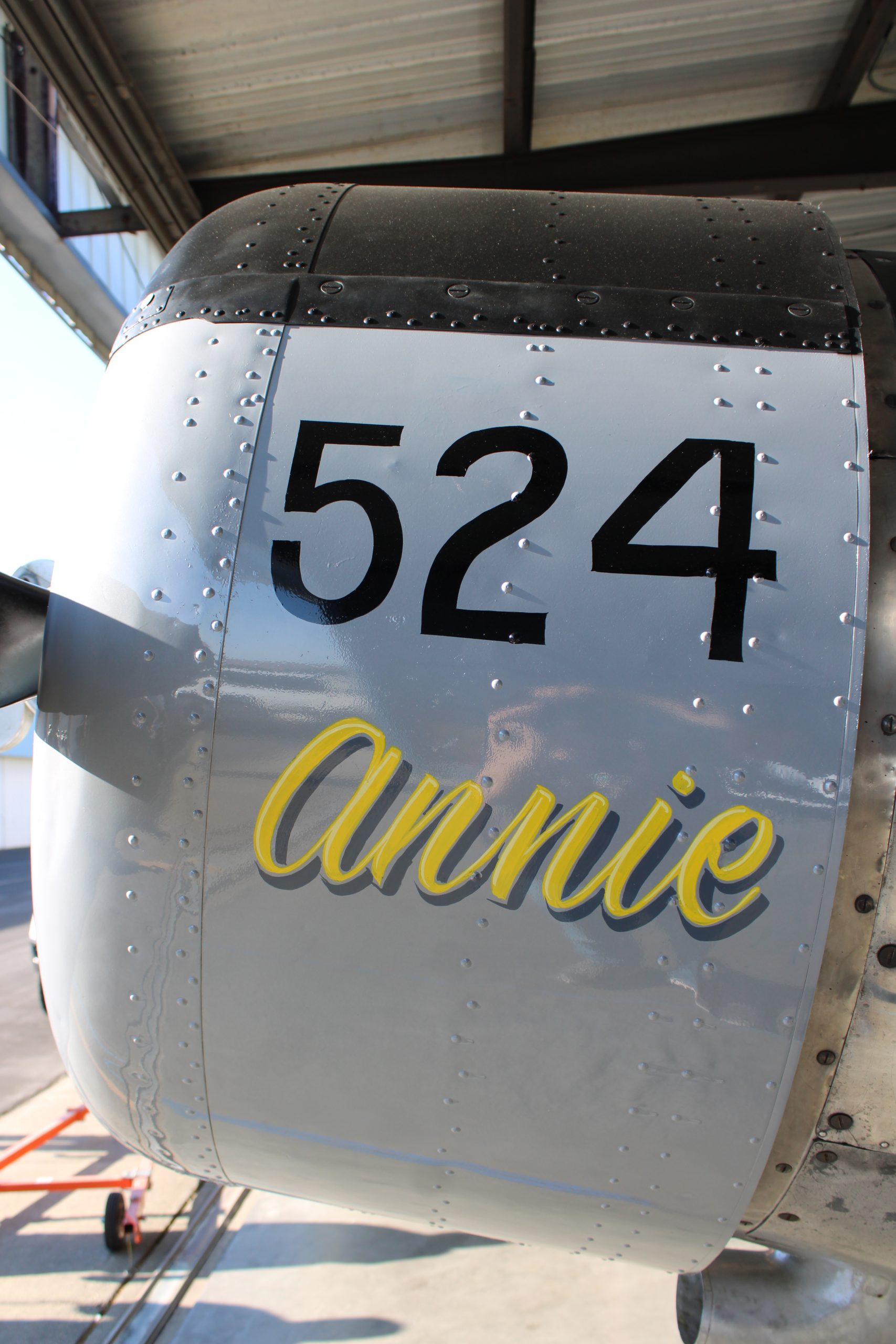 Vultee BT-13 "Annie" Flies Again! 15 IMG 5407 scaled