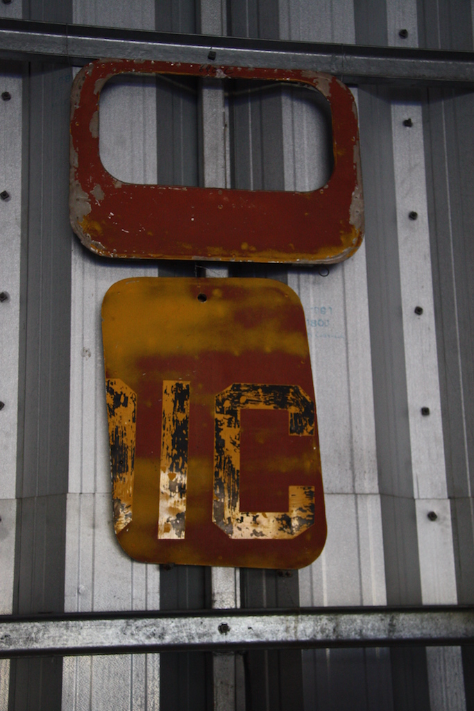 Hard Luck Beech 11 IMG_7400