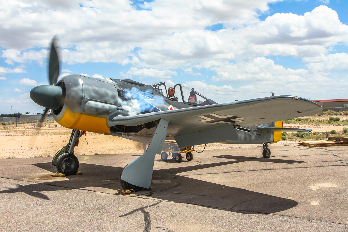 FW-190 First Flight At GossHawk Unlimited!!! 80 IMG_8149