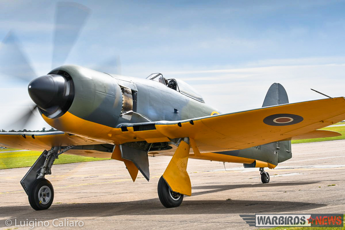 Duxford’s Flying Legends 2016 15 Prototype British aircraft in WWII, like the Sea Fury, typically had yellow paint on the lower surfaces to reduce the chances that trigger-happy anti-aircraft gunners wouldn't suspect it was a new enemy aircraft. (photo by Luigino Caliaro)
