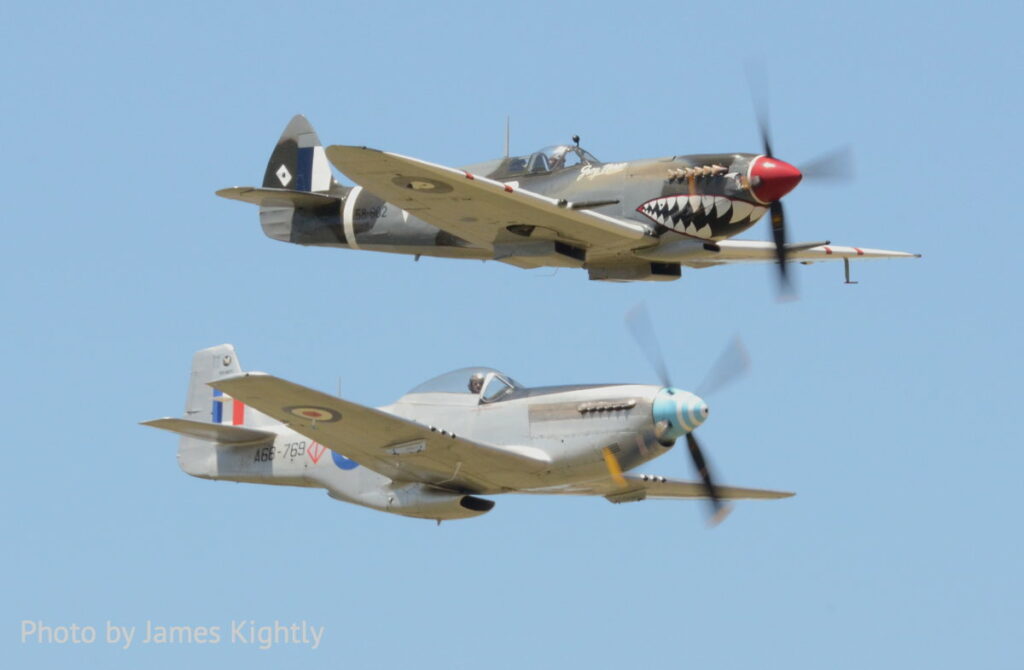 Aussie Mustang 'Snifter' to The UK 11 JKightly 3217cb