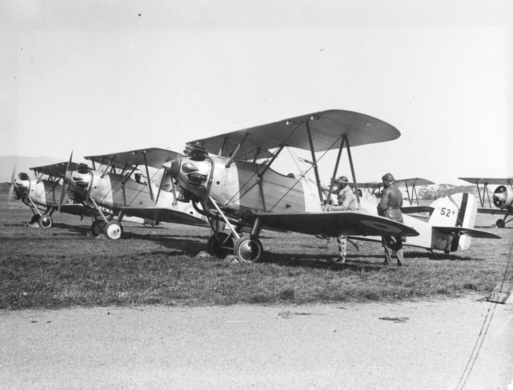 Shuttleworth’s Mongoose And Tomtit Revival 14 MUS001304