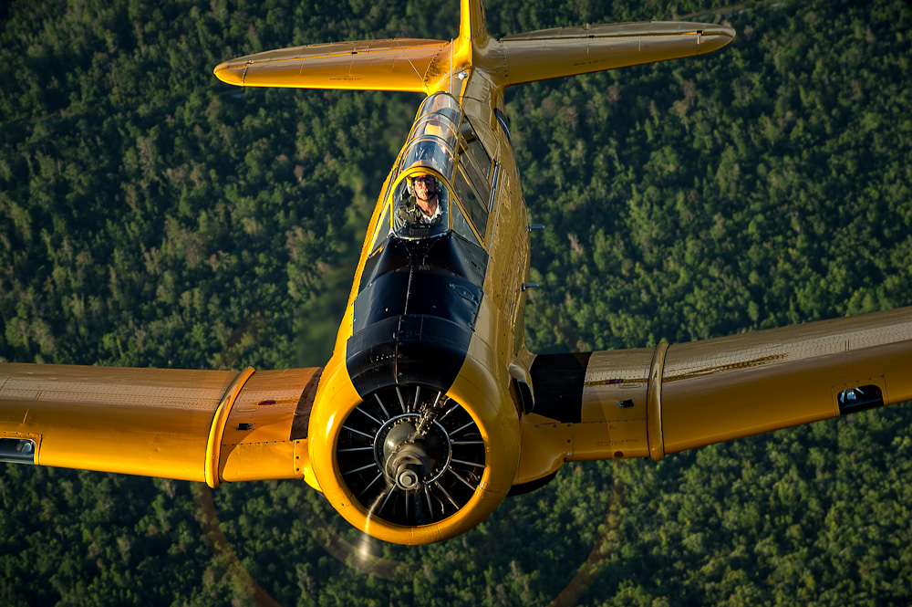 Stallion 51’s Campus of Higher Learning 14 Matt Kloskowski T63 lg copy