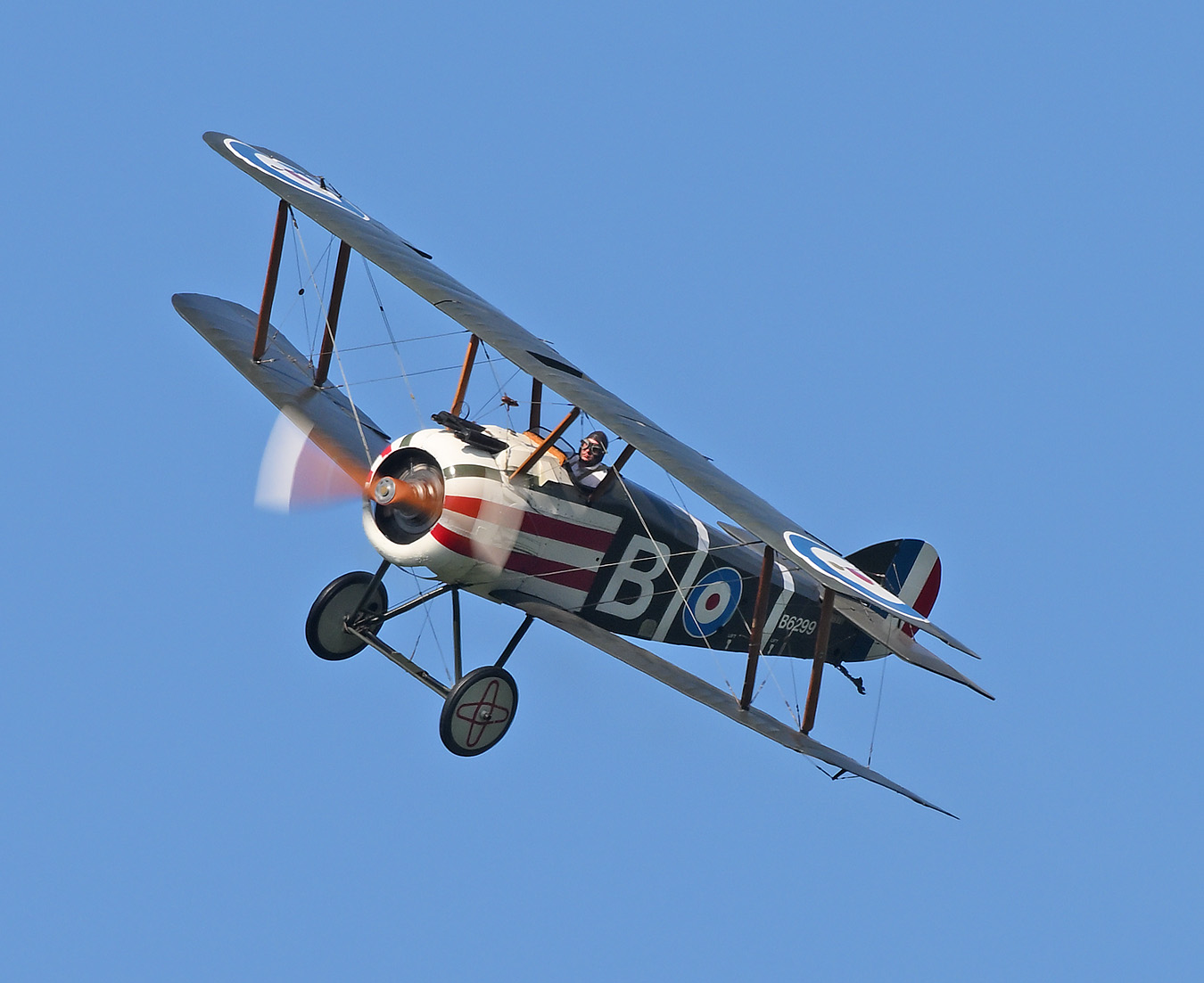 Rotary Engine in World War I Aircraft: An Interview with Mark Mondello 14 Mondello flying the Sopwith Camel with rotary engine. Photo by Warren Disbrow