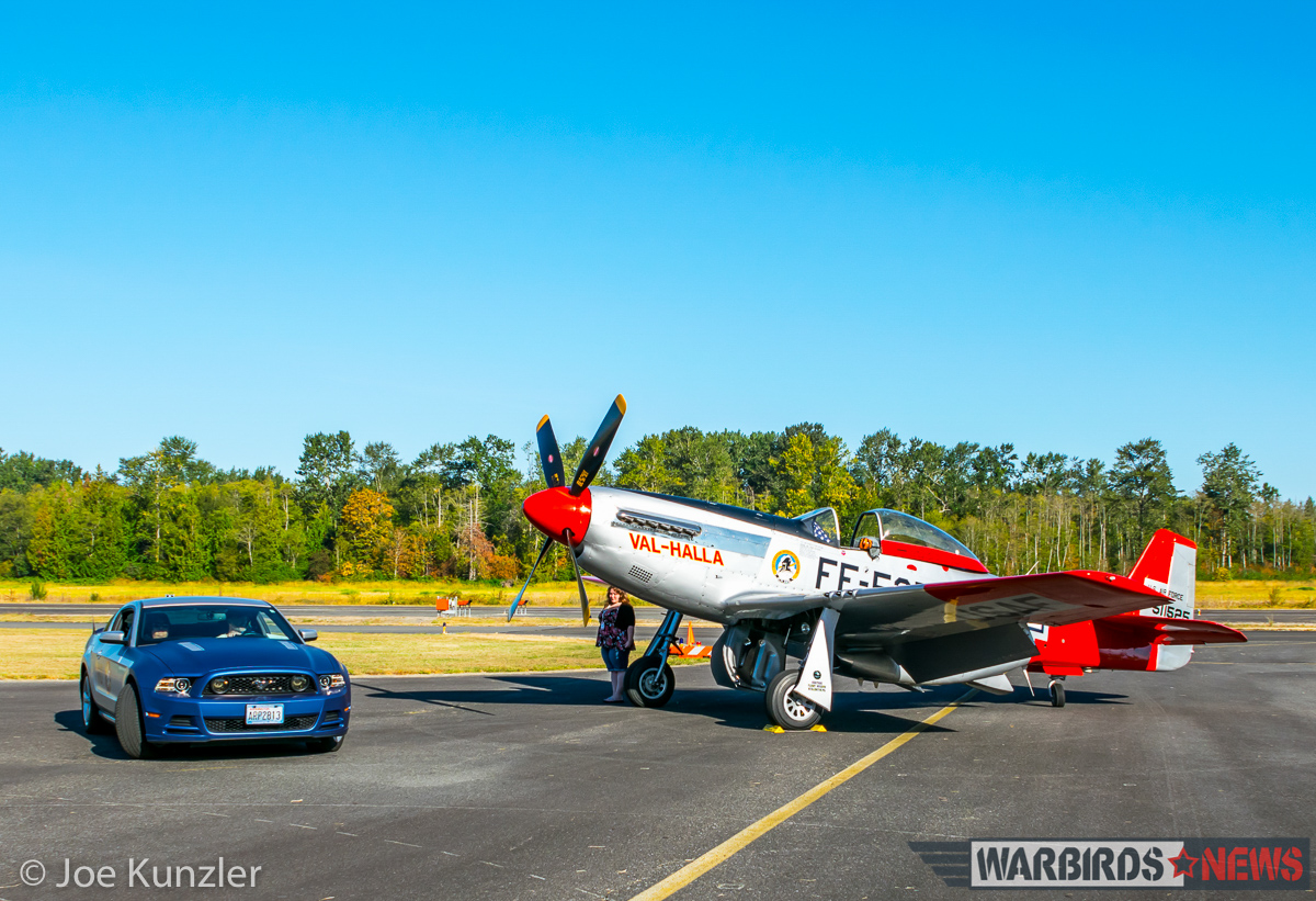 Props & Ponies at the Heritage Flight Museum - Air Show Report 20 Morning Sun Hits Two Educational Mustangs. (photo by Joe Kunzler)