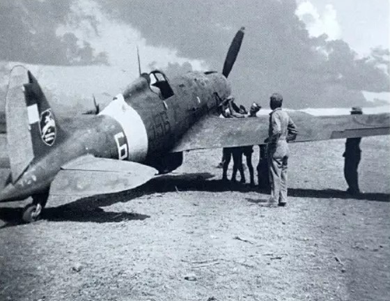 The Smithsonian’s Italian Thunderbolt 10 NASM Folgore 01