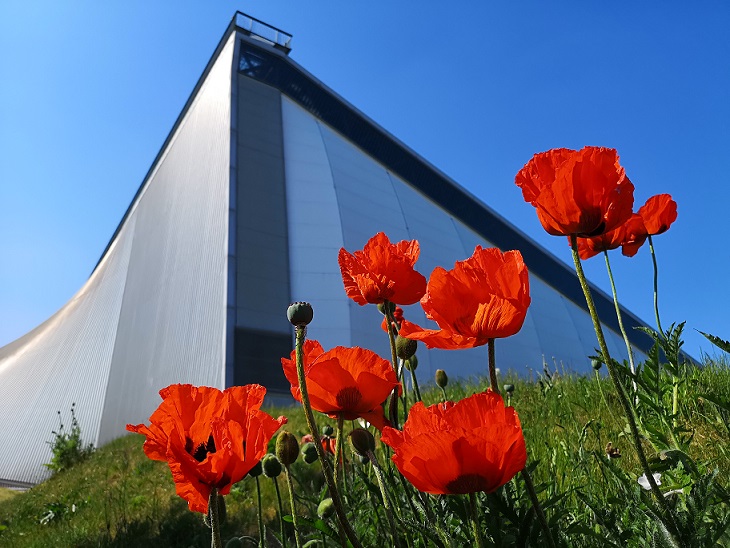 RAFM Cosford to Commemorate Armistice Day with Remembrance Service 11 NCWE Poppies