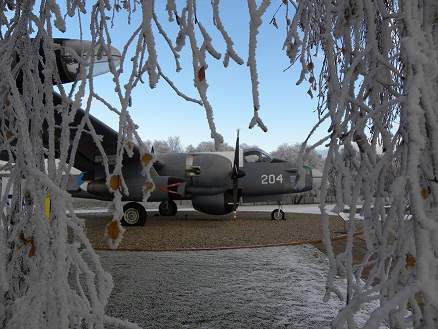 Festive Opening Dates at Cosford 11 Neptune_Frosty