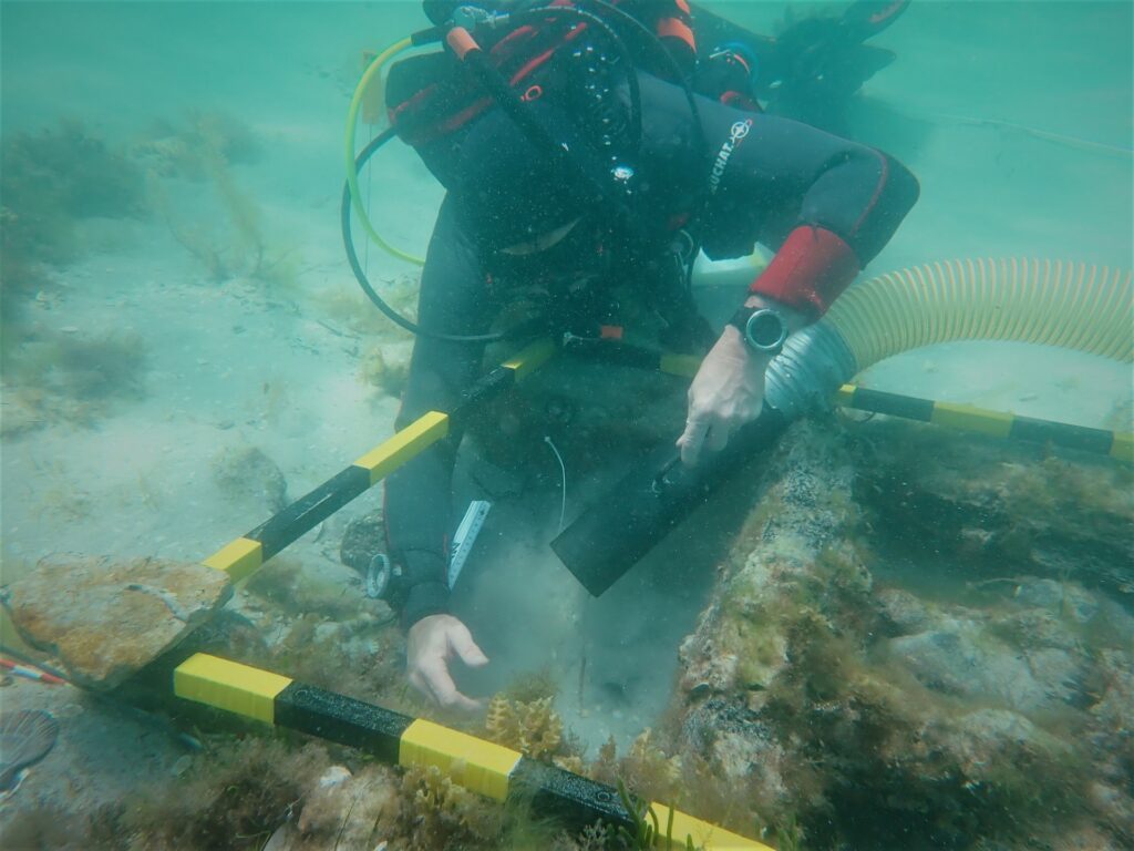 Aviation Archaeology Online Event 17 Odonnell3 425836062 903854171741987 7797278956393757811 n