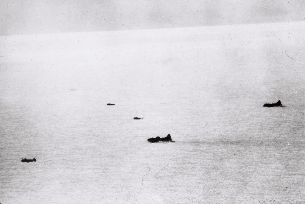 Into the Ice: The Ongoing Mission to Recover The Lost Squadron's P-38 “Echo” in Greenland 11 Operation Bolero 1942 B 17 and P 38 copy