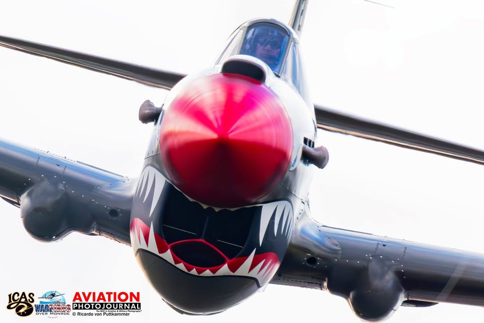 Curtiss P-40N Warhawk – Aleutians Veteran Offered for Sale 14 P 40N P 40N Warhawk 42 105120 N692CK 10