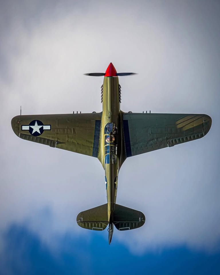 Curtiss P-40N Warhawk – Aleutians Veteran Offered for Sale 10 P 40N P 40N Warhawk 42 105120 N692CK 2