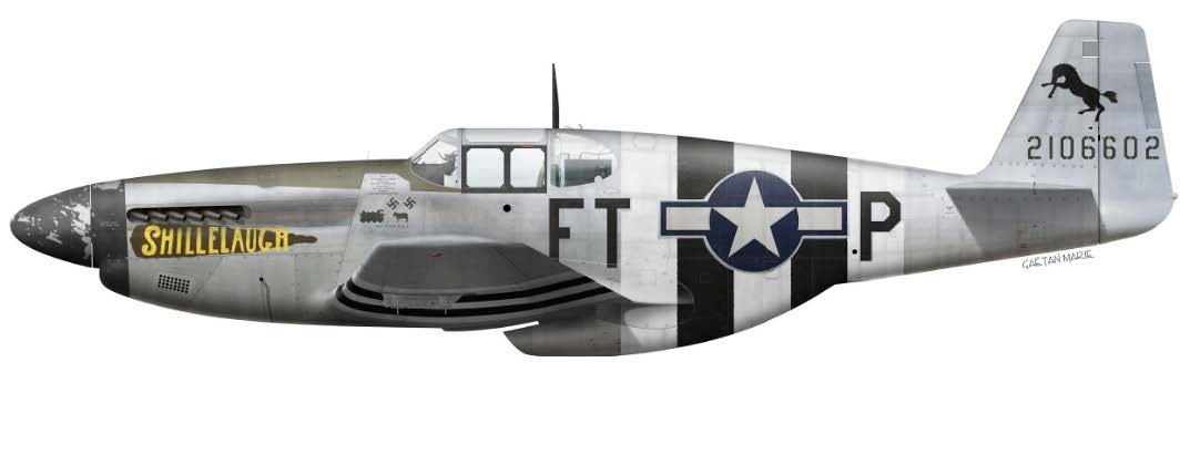 Wings of the North Air Museum's P-51B Mustang Restoration - Update 1 13 P 51B Shillelagh Summer2021 2 2