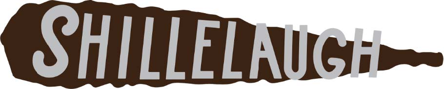 Wings of the North Air Museum's P-51B Mustang Restoration - Update 1 15 P 51B Shillelagh Summer2021 2 4