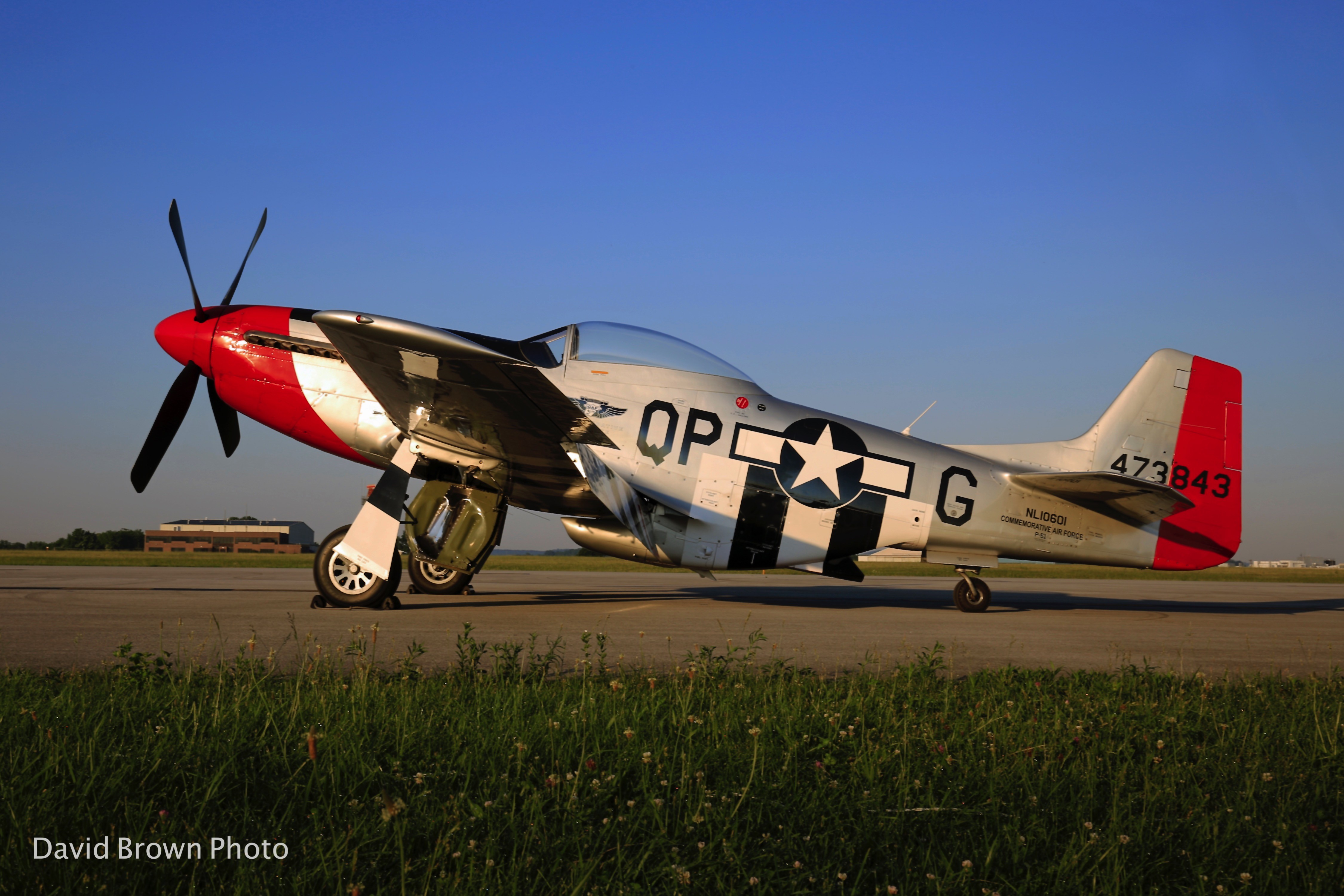 CAF Airbase Georgia November Open House In Peachtree City 13 P 51D DIXIE WING 94A8396 6JUN2021 WW2WE DAVIDFBROWN