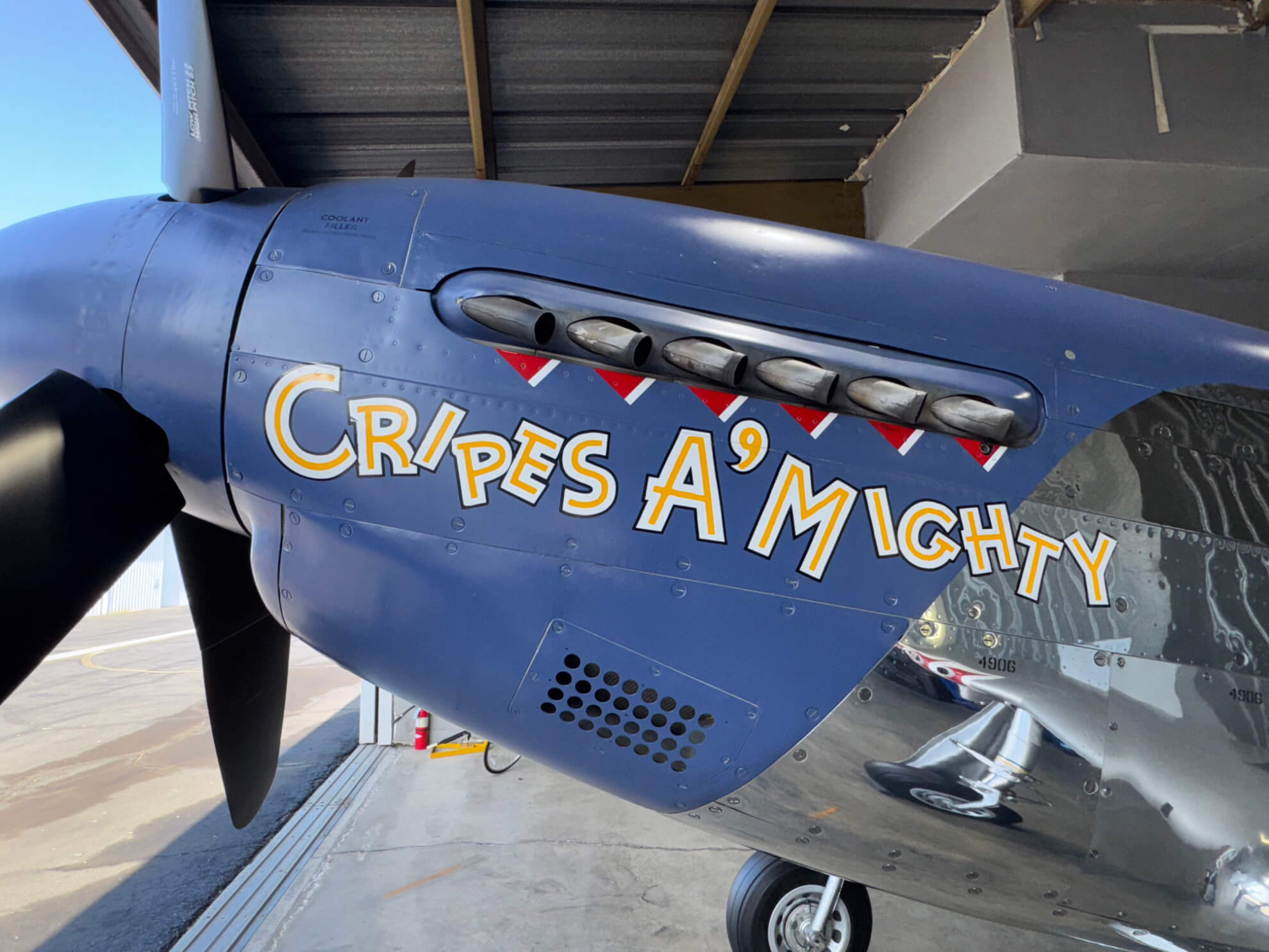Award Winning North American P-51D Mustang "Cripes A' Mighty" For Sale by Platinum Fighter Sale 14 P 51D Mustang Cripes A Mighty Nose Art