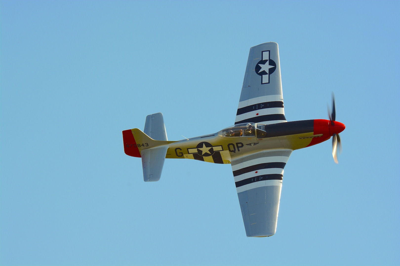 B-17 Flying Fortress “Sentimental Journey” and P-51 Mustang “Red Nose” Going to Bristol, TN 11 The CAF Dixie WIng's P-51D "Red Nose" is the first airplanes purchased by the CAF in 1957 for $ 2,500. IMage by Warbirds News