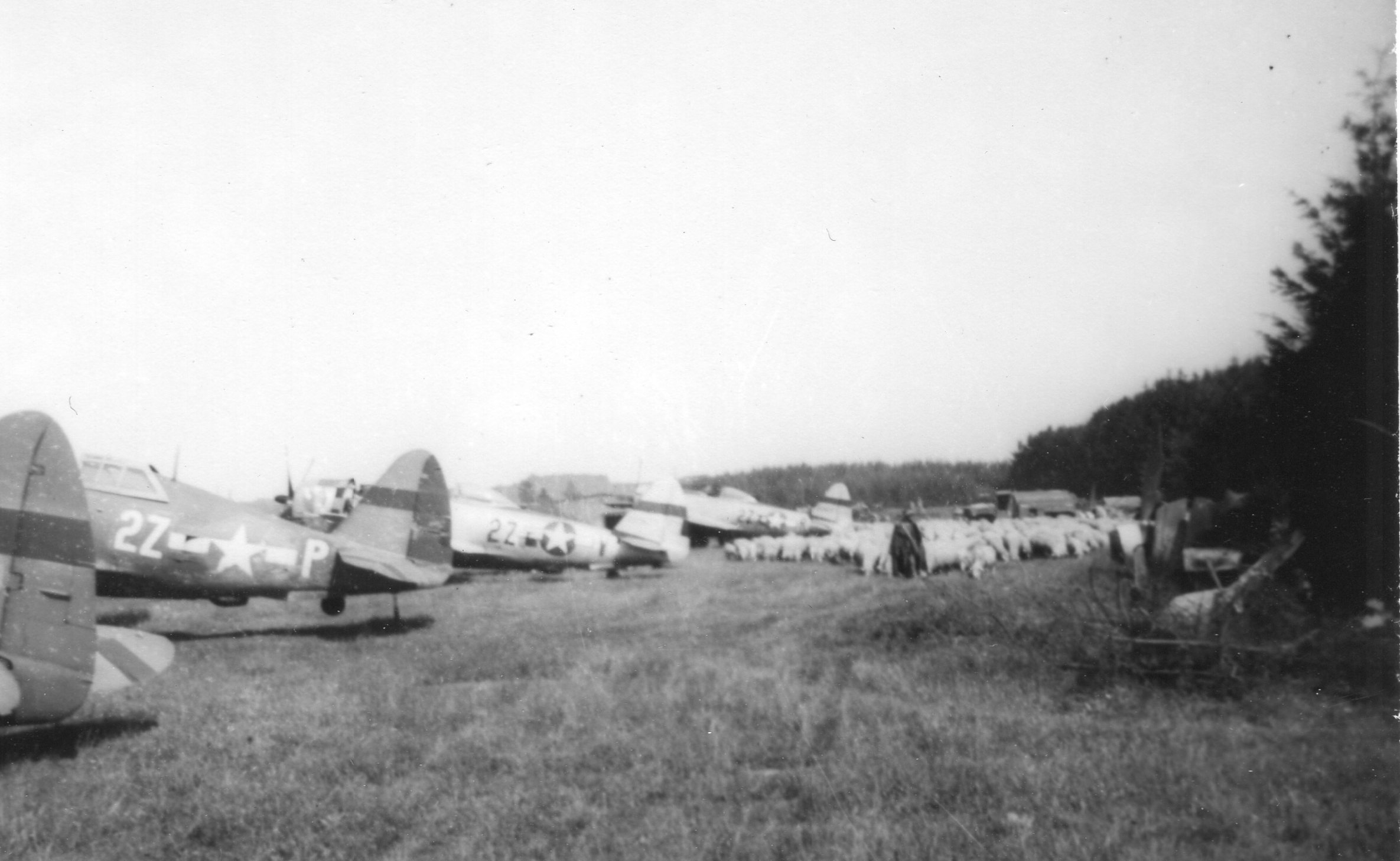 Fly Fast, Hit Hard, Take a Punch: A Brief History of the War-Winning P-47 Thunderbolt 24 P47 405th FG with sheep 013
