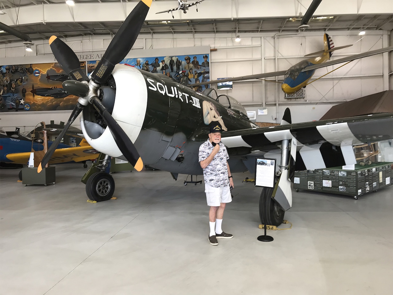 Thunderbolt Thoughts 14 P47PS IMG 9338 copy