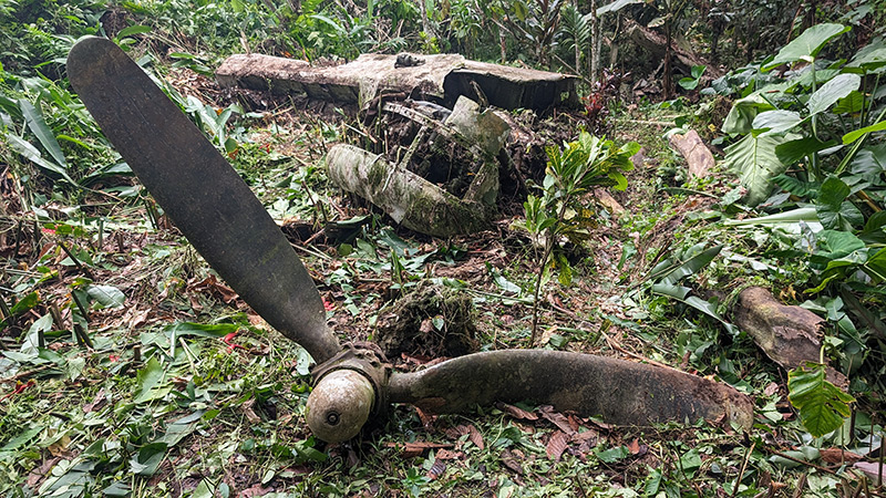 The Swamp Ghost and the Fight to Protect Pacific War Wrecks 10 Photograph of B 24 Liberator crash site in Papua New Guinea Photo by Justin Taylan May 20 2024