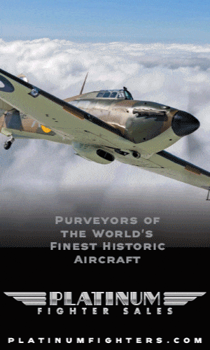 Platinum 300x500 Platinum 300x500