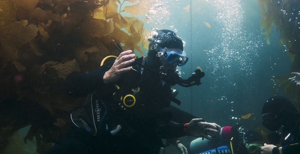 Polaris Program's MiG-29 is the Fastest Privately-Owned Warbird in the World 13 Polaris Program Scuba Diving Training Jared Isaacman e1768954900947