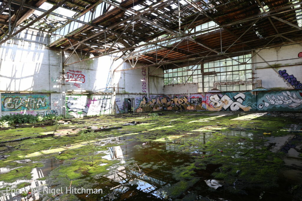 Rangsdorf Bücker Fly-In 24 R6 3894