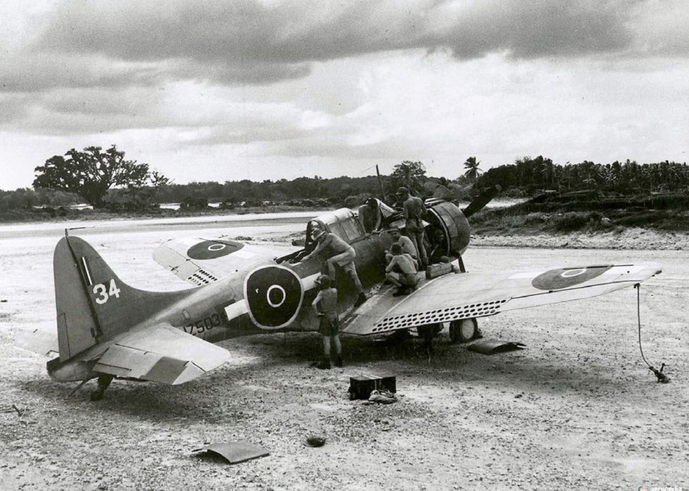 The Douglas SBD Dauntless Mystery: Uncovering a WWII Tragedy in Vanuatu 11 RNZAF SBD Dauntless