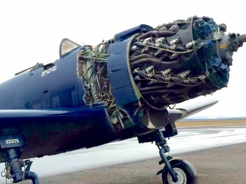 Randy's Warbird Profiles: Martin AM-1 Mauler Bu.No. 22275 15 Randy Malmstrom Martin Mauler 04